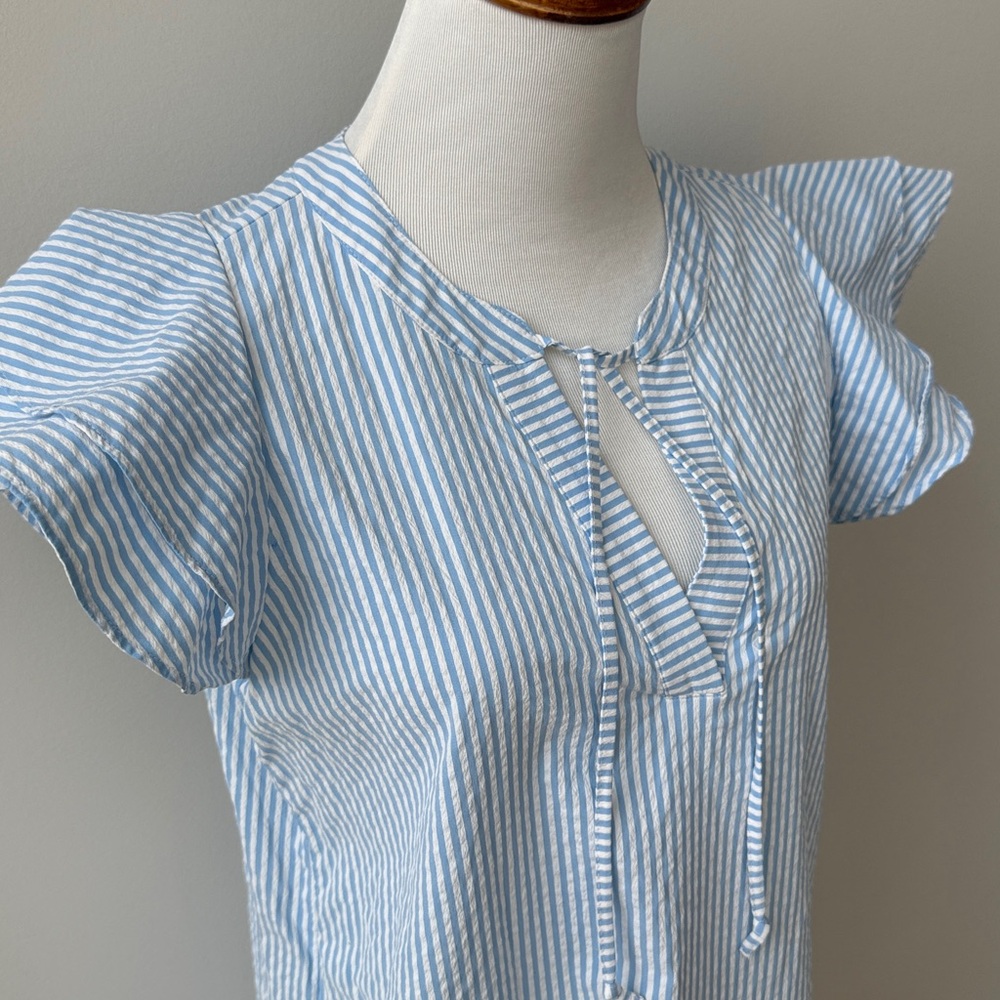 Vineyard Vines Blue Striped Dress - Picture 8 of 12